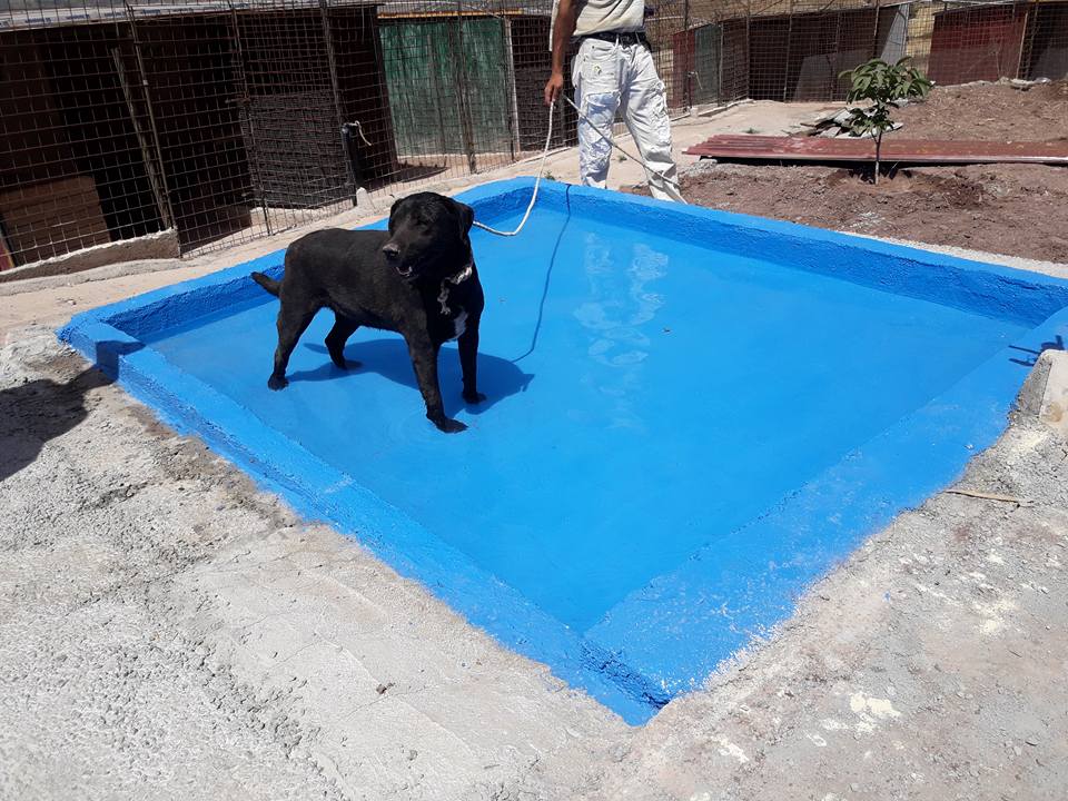 piscinetta