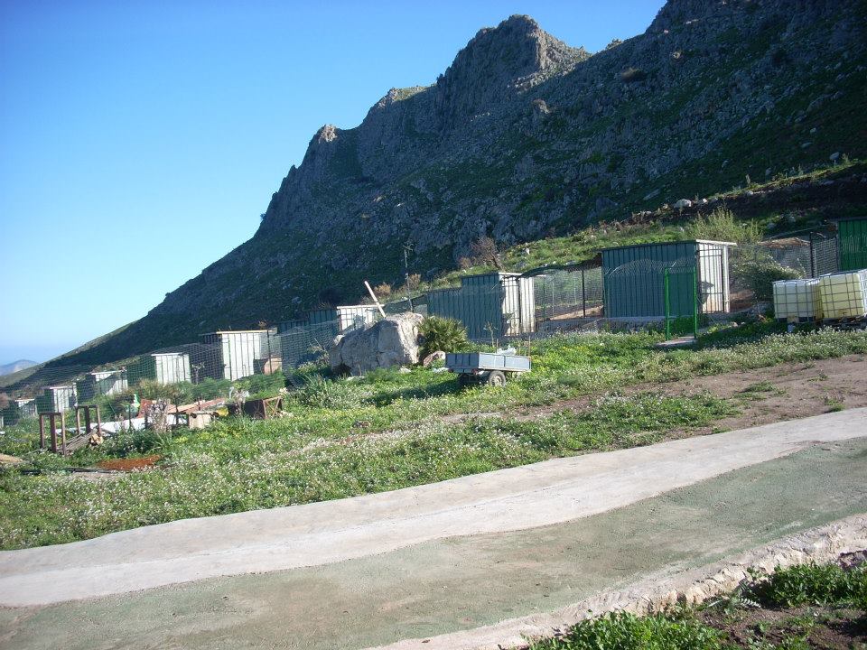 la struttura